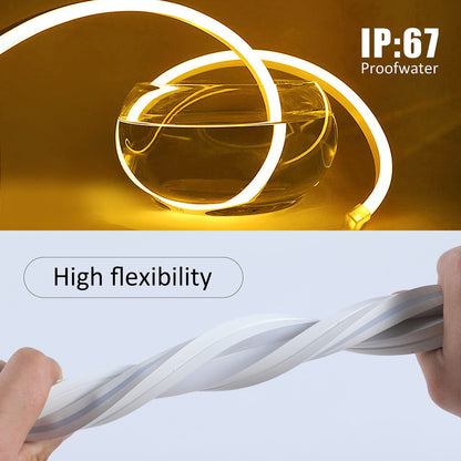 Warm white LED Neon Rope Lights 16.4FT/5 Meters 12V IP67