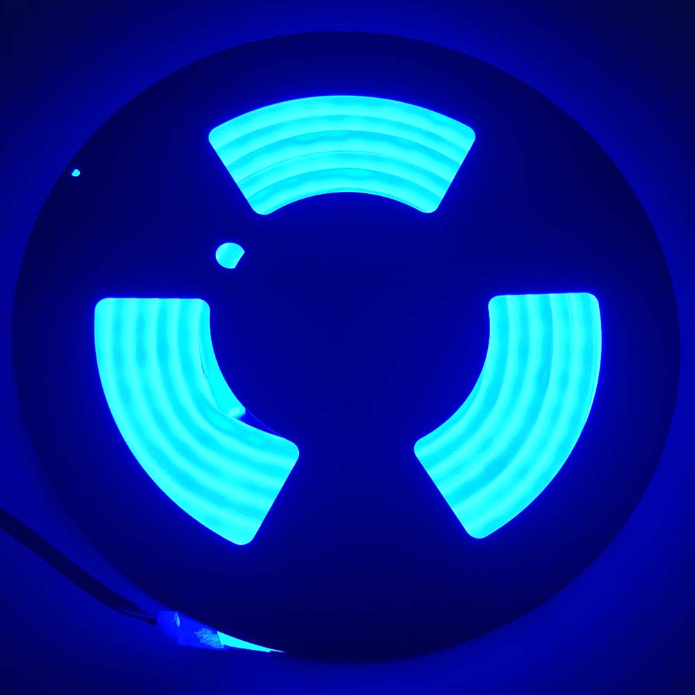 Blue LED Neon Rope Light DC12V 16.4FT /5 Meters