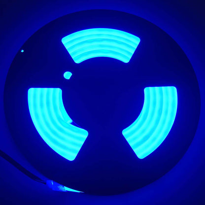 Blue LED Neon Rope Light DC12V 16.4FT /5 Meters